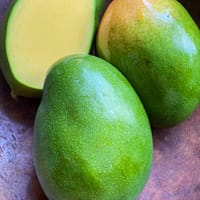 Kaith Mango
