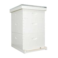 Painted Langstroth Beehive