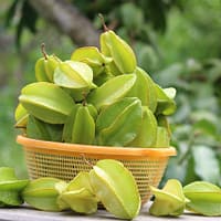 star fruit, carambola, sweet, sour, nature, fuit, fresh, garden, juicy, organic, star fruit, star fruit, star fruit, star fruit, star fruit, carambola, carambola