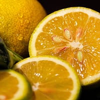 lemon, sliced, fruit, seeds, citric, juicy, food, healthy, fresh, vitamins, sweet, ripe, nutrition, lemon, lemon, lemon, lemon, lemon