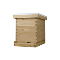 Standard Langstroth Beehive