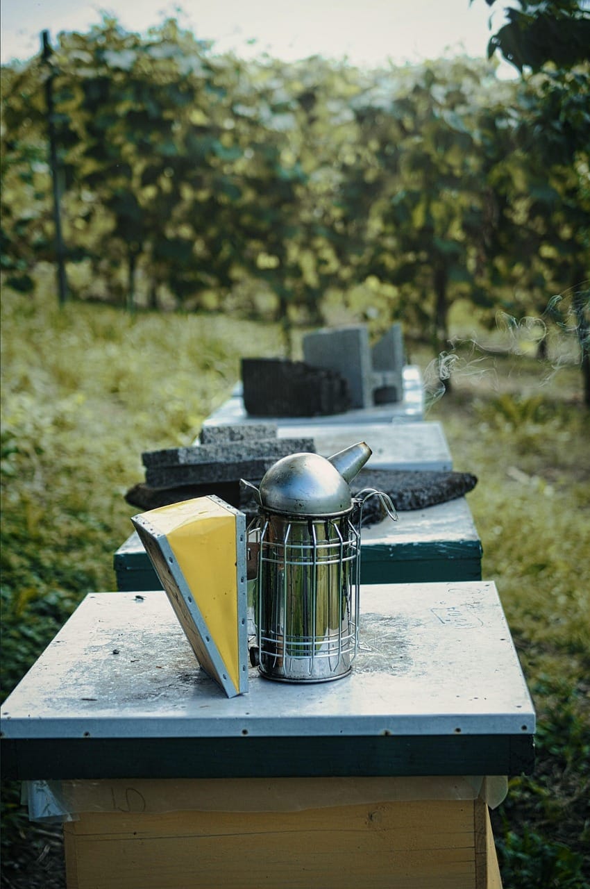 Introduction to Beekeeping